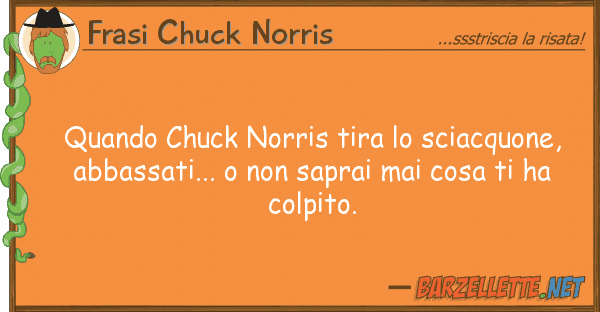 Frasi Chuck Norris quando chuck norris tira sciacquone,