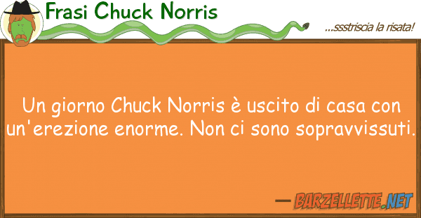 Frasi Chuck Norris giorno chuck norris è uscito casa