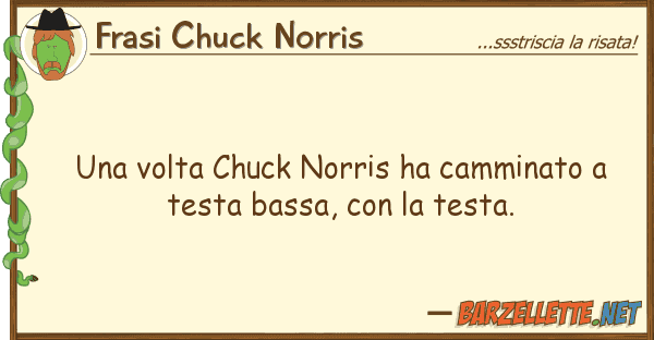 Frasi Chuck Norris volta chuck norris ha camminato te
