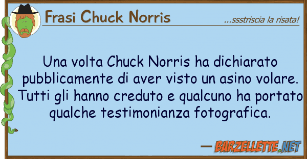 Frasi Chuck Norris volta chuck norris ha dichiarato pub