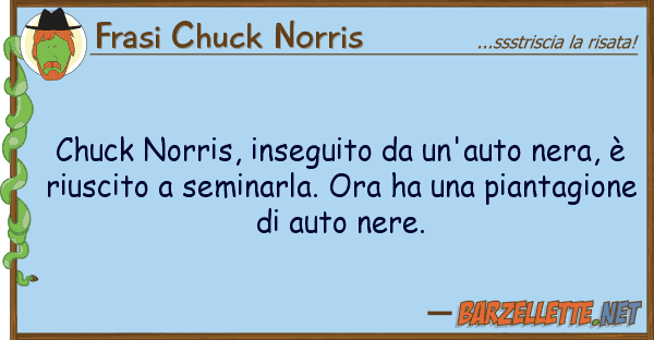 Frasi Chuck Norris chuck norris, inseguito un'auto nera,