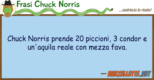 Frasi Chuck Norris chuck norris prende 20 piccioni, 3 condo