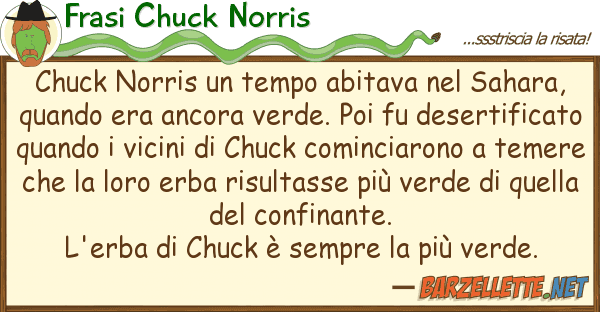 Frasi Chuck Norris chuck norris tempo abitava sahara