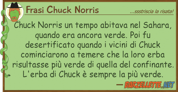Frasi Chuck Norris chuck norris tempo abitava sahara