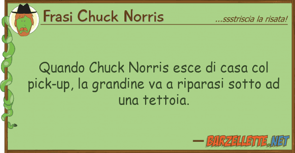 Frasi Chuck Norris quando chuck norris esce casa pic