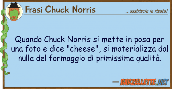 Frasi Chuck Norris quando chuck norris mette posa