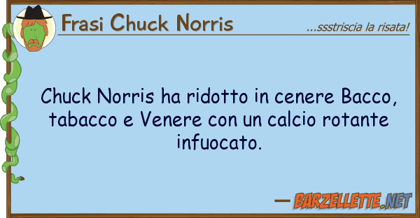 Frasi Chuck Norris chuck norris ha ridotto cenere bacco,