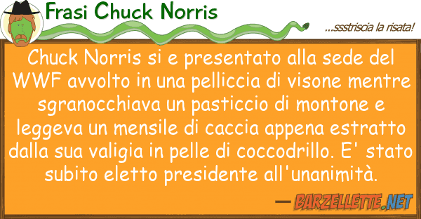 Frasi Chuck Norris chuck norris presentato sede d