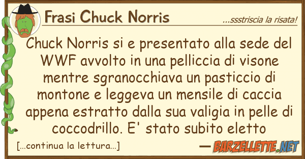 Frasi Chuck Norris chuck norris presentato sede d