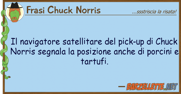 Frasi Chuck Norris navigatore satellitare pick-up