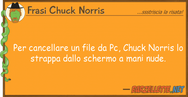 Frasi Chuck Norris cancellare file pc, chuck norr
