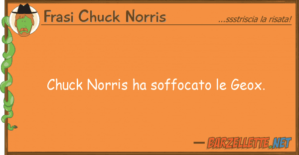 Frasi Chuck Norris chuck norris ha soffocato geox.
