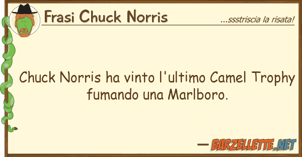 Frasi Chuck Norris chuck norris ha vinto l'ultimo camel tro