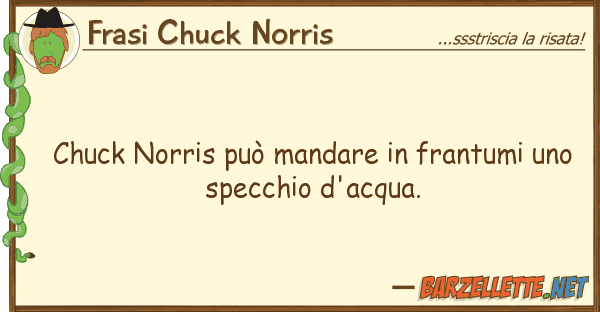 Frasi Chuck Norris chuck norris può mandare frantumi