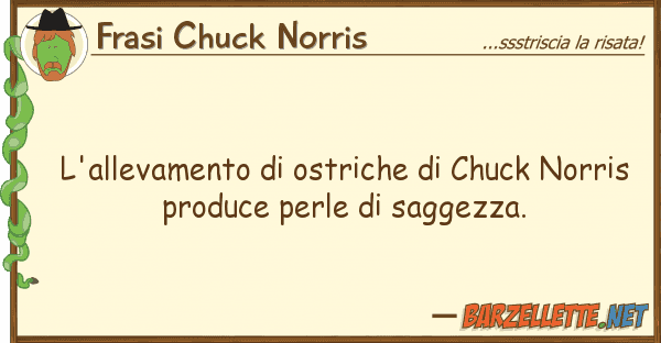 Frasi Chuck Norris l'allevamento ostriche chuck norri