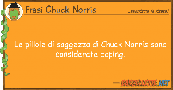 Frasi Chuck Norris pillole saggezza chuck norris s