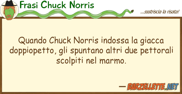 Frasi Chuck Norris quando chuck norris indossa giacca do
