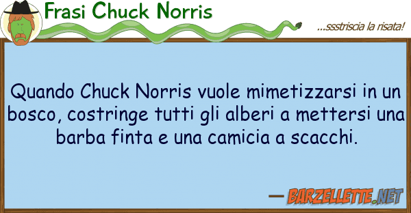 Frasi Chuck Norris quando chuck norris vuole mimetizzarsi