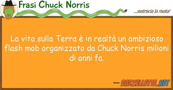 Frasi Chuck Norris vita terra è realtà amb