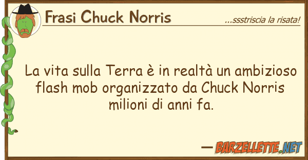 Frasi Chuck Norris vita terra è realtà amb