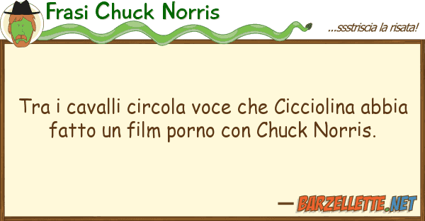 Frasi Chuck Norris cavalli circola voce cicciolin