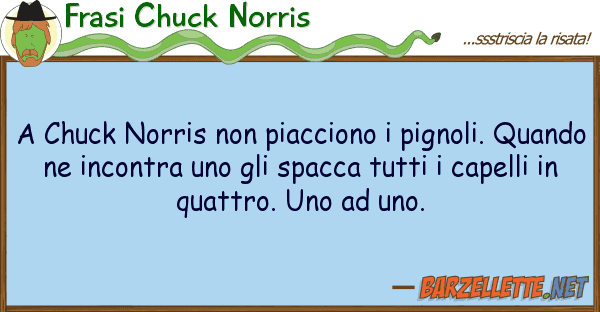 Frasi Chuck Norris chuck norris piacciono pignoli.