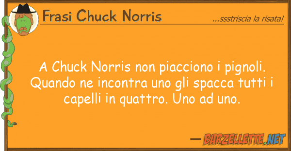 Frasi Chuck Norris chuck norris piacciono pignoli.
