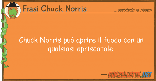 Frasi Chuck Norris chuck norris può aprire fuoco