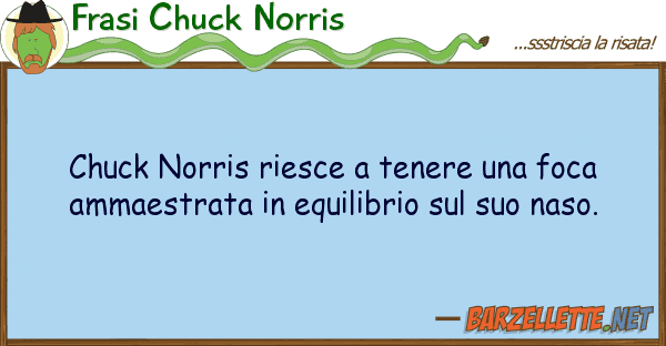 Frasi Chuck Norris chuck norris riesce tenere foca am