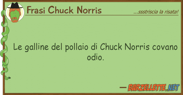 Frasi Chuck Norris galline pollaio chuck norris