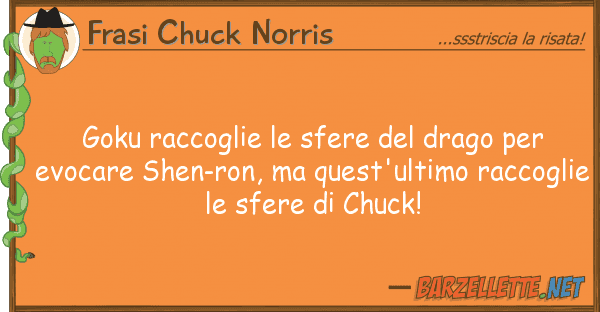 Frasi Chuck Norris goku raccoglie sfere drago ev
