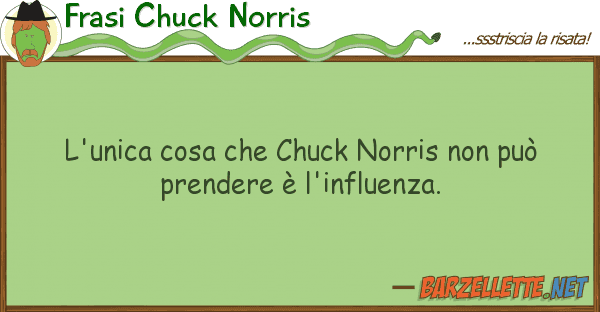 Frasi Chuck Norris l'unica cosa chuck norris può p
