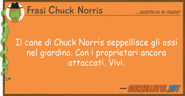 Frasi Chuck Norris cane chuck norris seppellisce