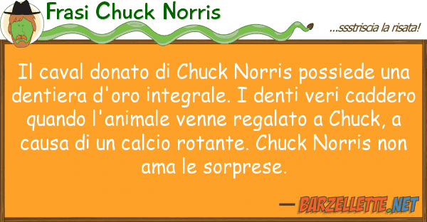 Frasi Chuck Norris caval donato chuck norris possiede