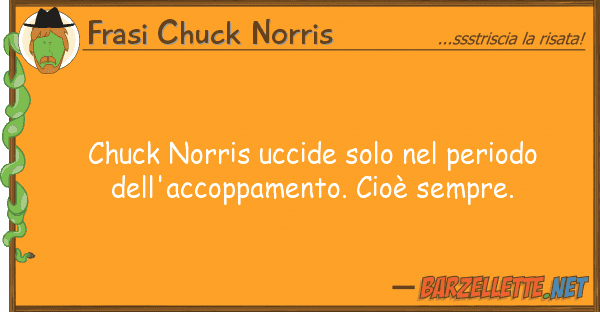 Frasi Chuck Norris chuck norris uccide solo periodo
