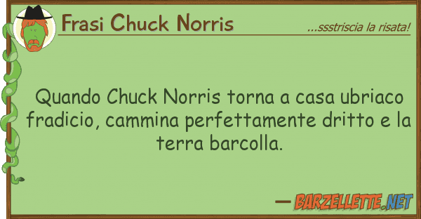 Frasi Chuck Norris quando chuck norris torna casa ubriaco