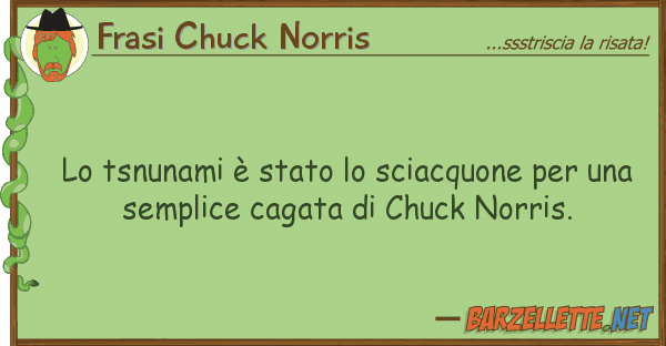 Frasi Chuck Norris tsnunami è stato sciacquone u