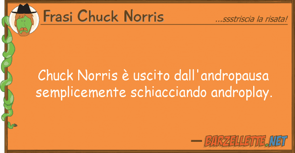 Frasi Chuck Norris chuck norris è uscito dall'andropausa s