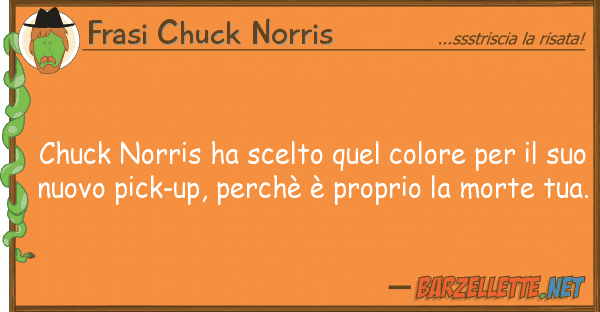 Frasi Chuck Norris chuck norris ha scelto quel colore