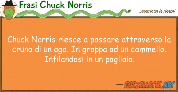 Frasi Chuck Norris chuck norris riesce passare attraverso