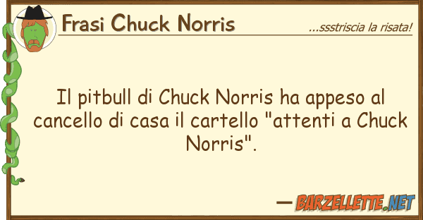 Frasi Chuck Norris pitbull chuck norris ha appeso