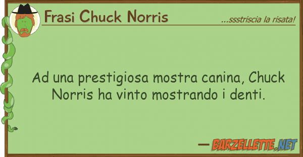 Frasi Chuck Norris prestigiosa mostra canina, chuck