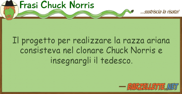 Frasi Chuck Norris progetto realizzare razza aria