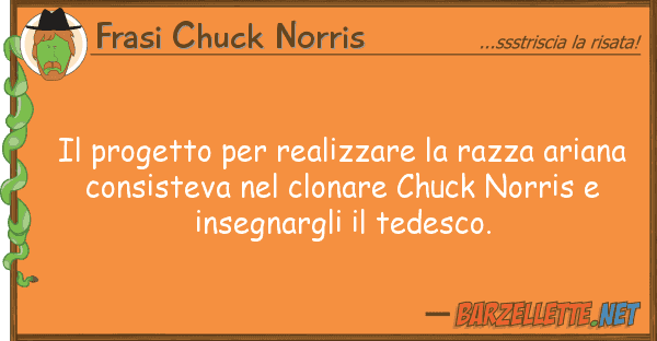 Frasi Chuck Norris progetto realizzare razza aria