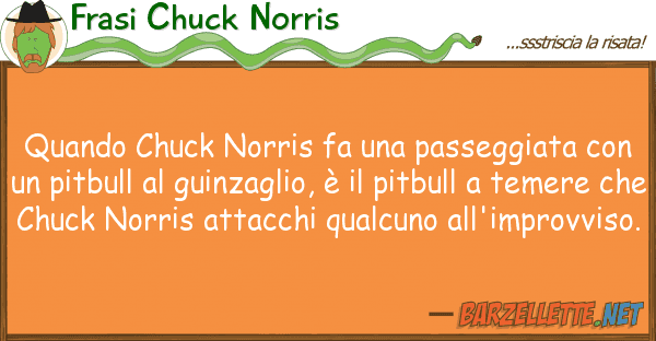 Frasi Chuck Norris quando chuck norris fa passeggiata