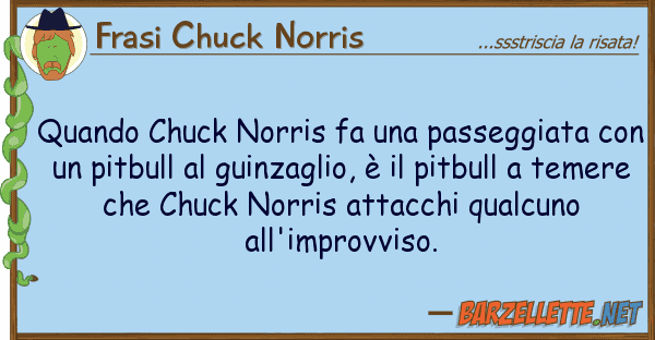Frasi Chuck Norris quando chuck norris fa passeggiata