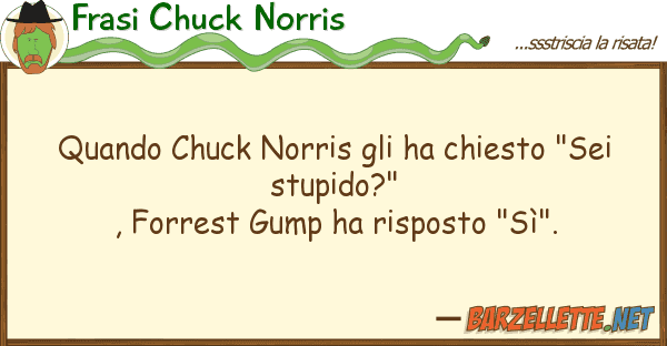 Frasi Chuck Norris quando chuck norris ha chiesto "sei