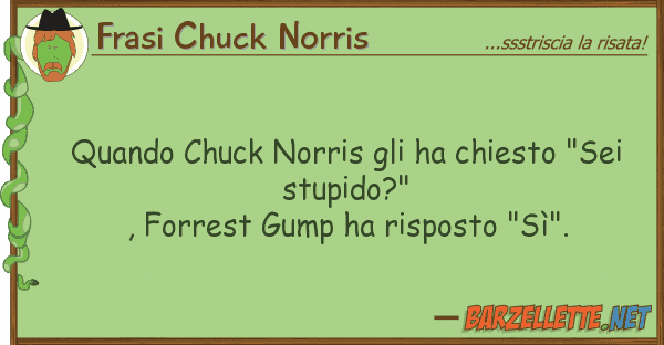 Frasi Chuck Norris quando chuck norris ha chiesto "sei