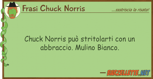 Frasi Chuck Norris chuck norris può stritolarti abb
