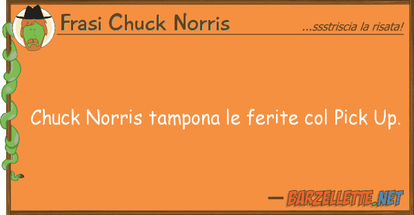 Frasi Chuck Norris chuck norris tampona ferite pick